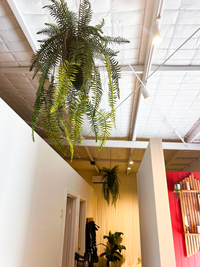 103cm Artificial Hanging Fern