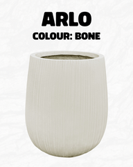 Arlo