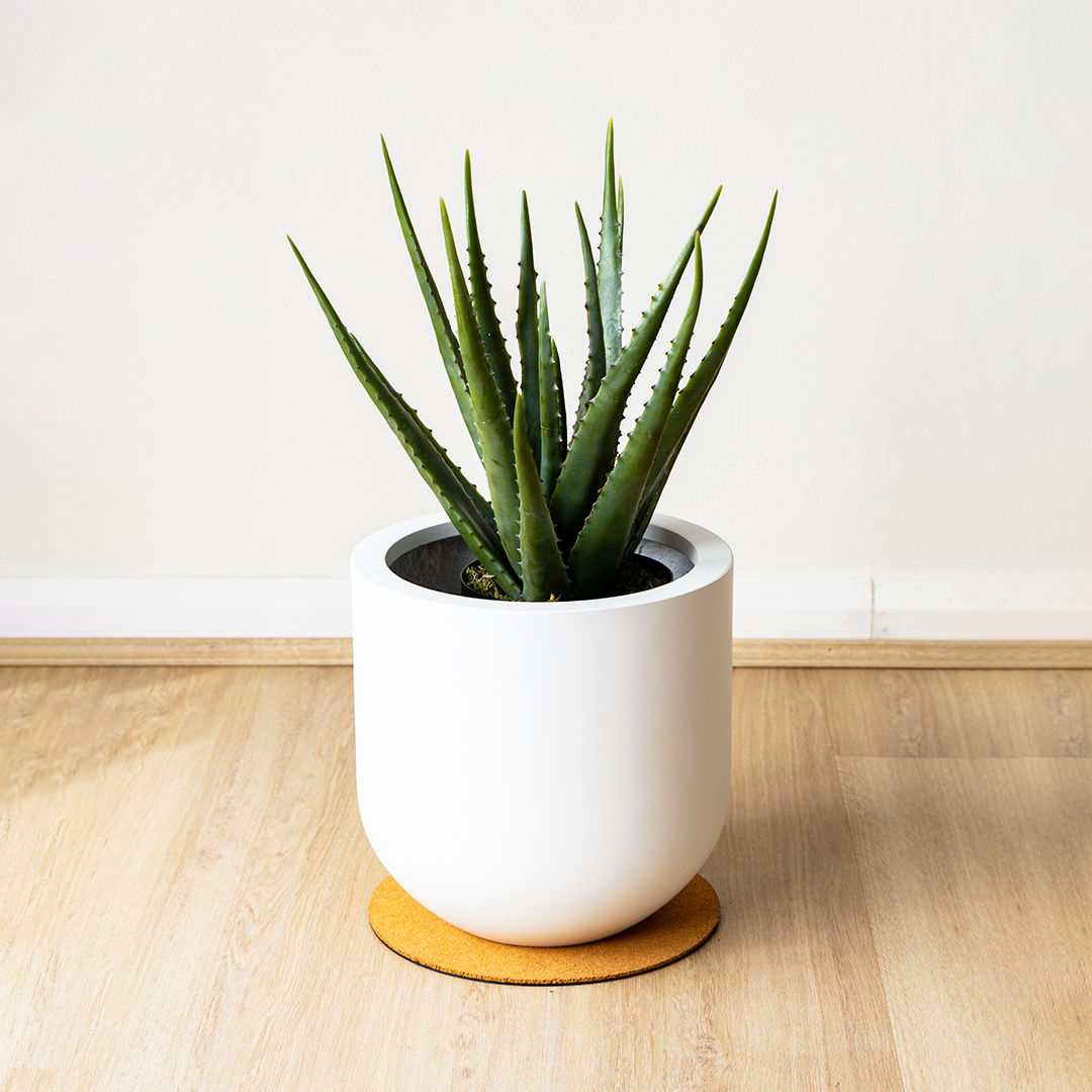 46cm Artificial Aloe Vera