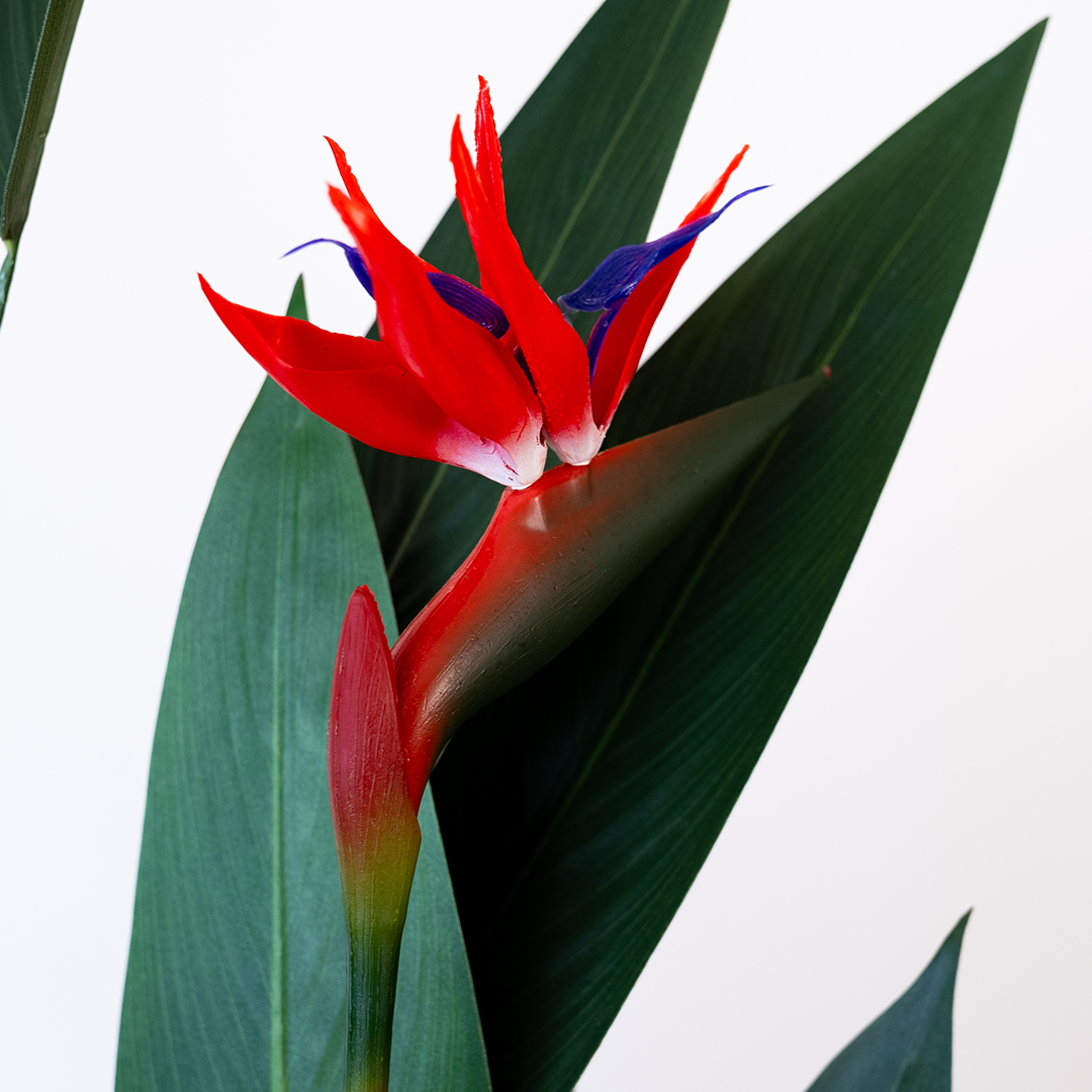 Artificial Bird of Paradise The Plant Factory Shop Online