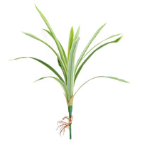 64cm Artificial Cordyline