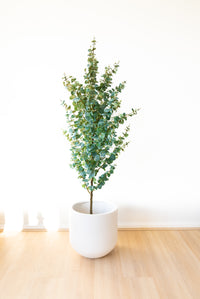 150cm Artificial Eucalyptus Tree