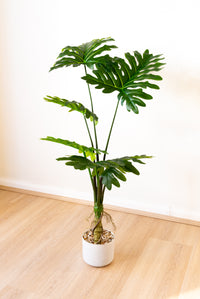 100cm Artificial Monstera