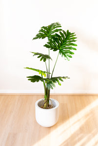 100cm Artificial Monstera