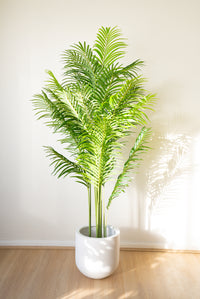 220cm Artificial Palm Tree