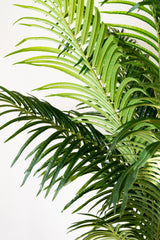 220cm Artificial Palm Tree