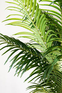 220cm Artificial Palm Tree