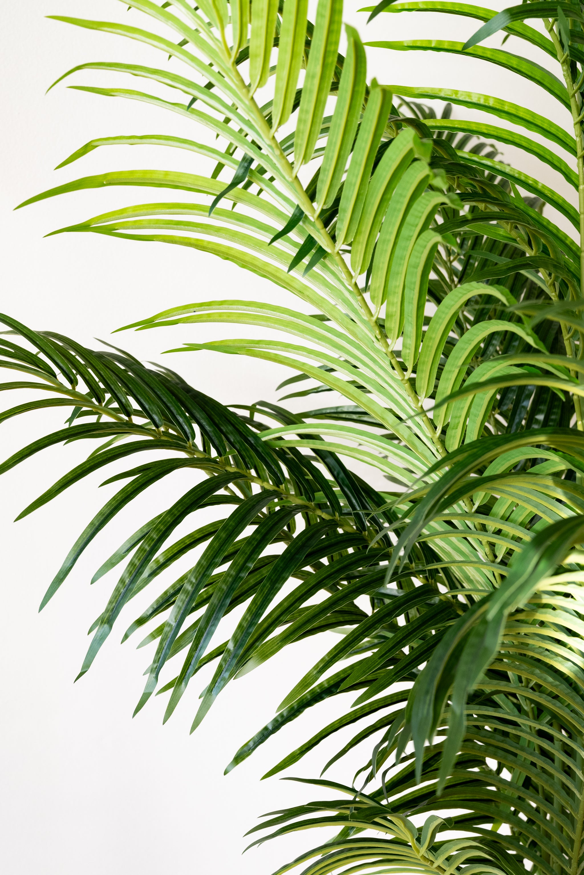 220cm Artificial Palm Tree