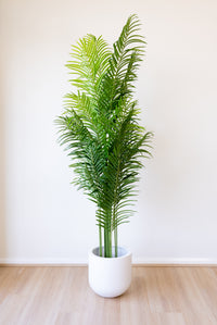 220cm Artificial Palm Tree