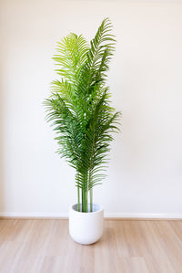 220cm Artificial Palm Tree