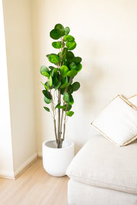 150cm Artificial Fig Tree