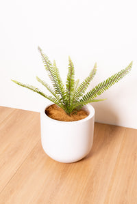 Artificial Fern