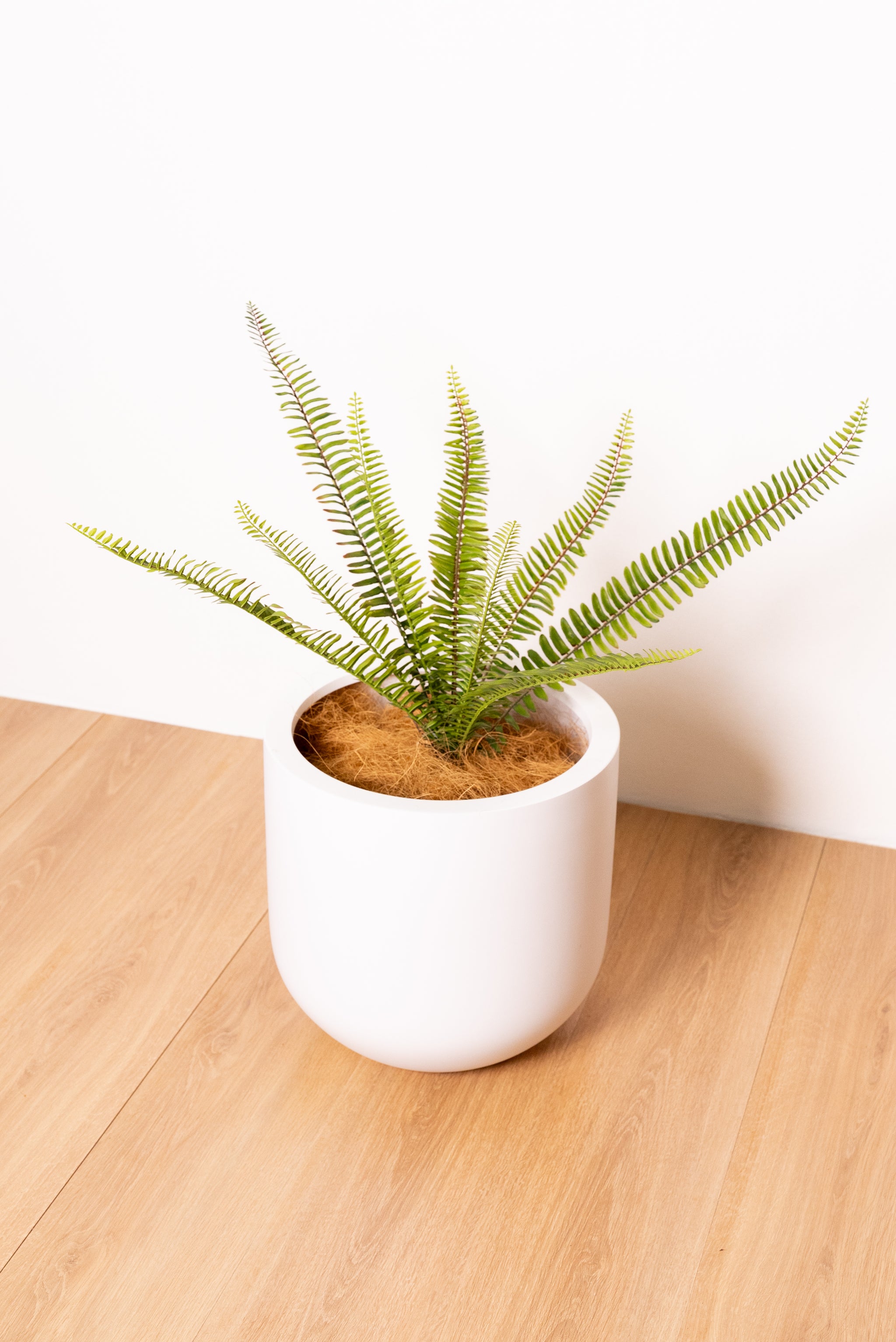 Artificial Fern