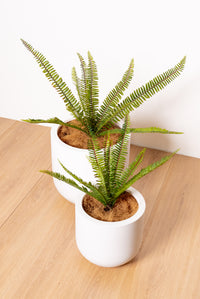 Artificial Fern