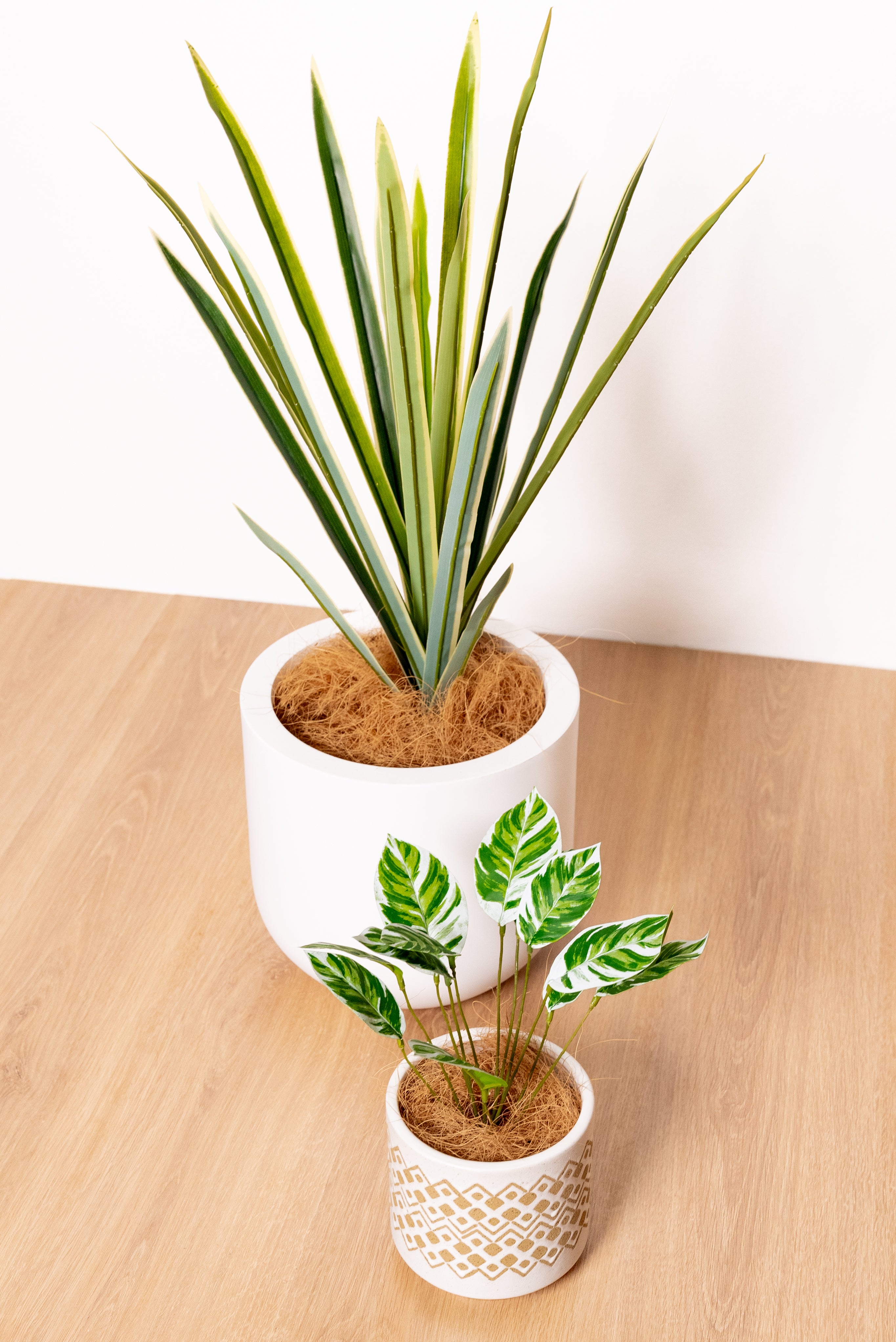 Shop Artificial Chinese Evergreen Best Small Artificial Indoor Plant