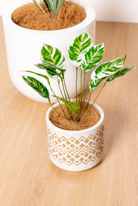 28cm Artificial Chinese Evergreen