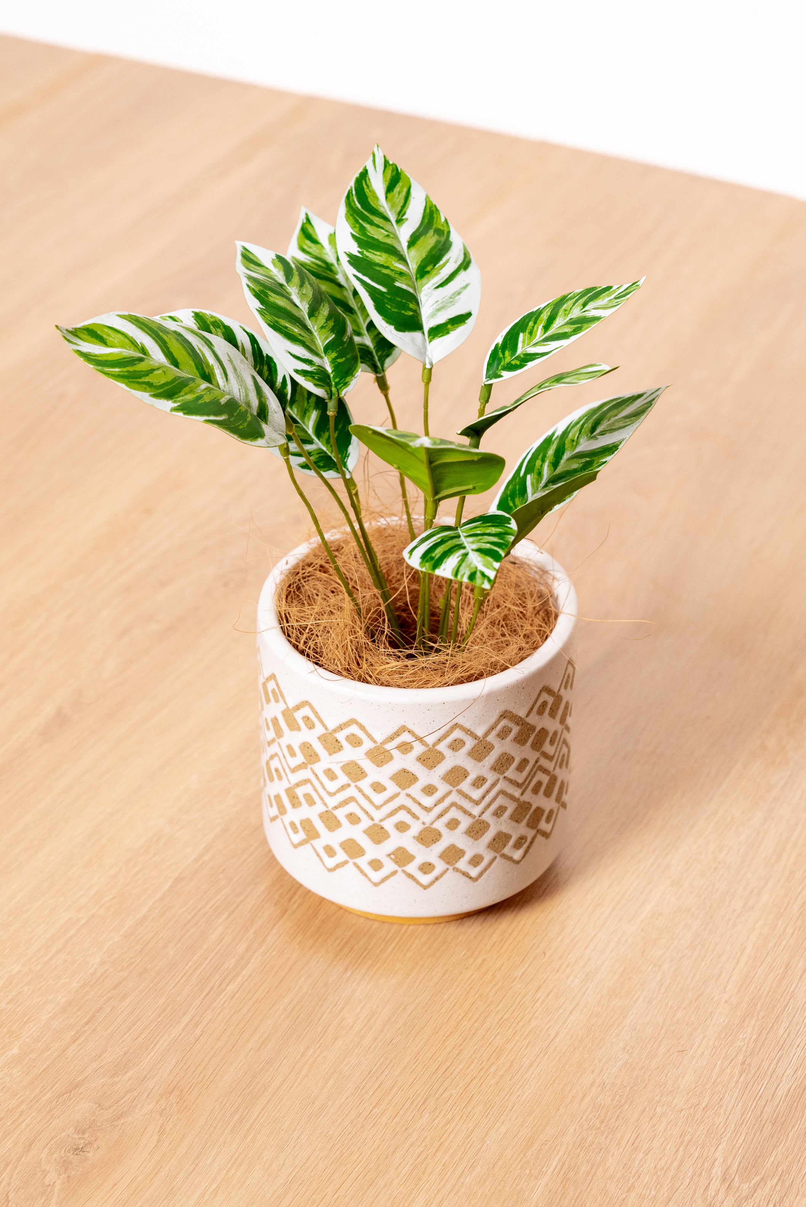 Shop Artificial Chinese Evergreen Best Small Artificial Indoor Plant