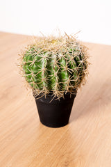 Small artificial cactus
