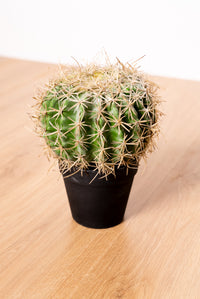 Small artificial cactus