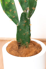 53cm Artificial Prickly Pear
