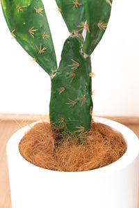 53cm Artificial Prickly Pear