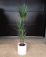 160cm Artificial Yucca