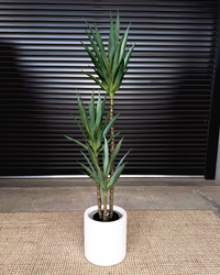 160cm Artificial Yucca