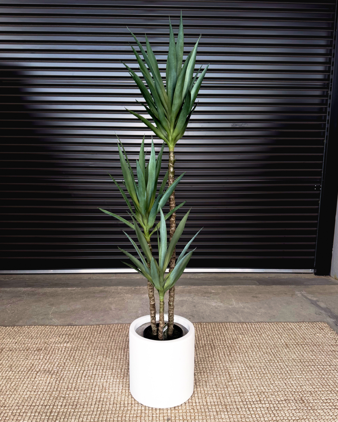 160cm Artificial Yucca