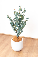 150cm Artificial Eucalyptus Tree