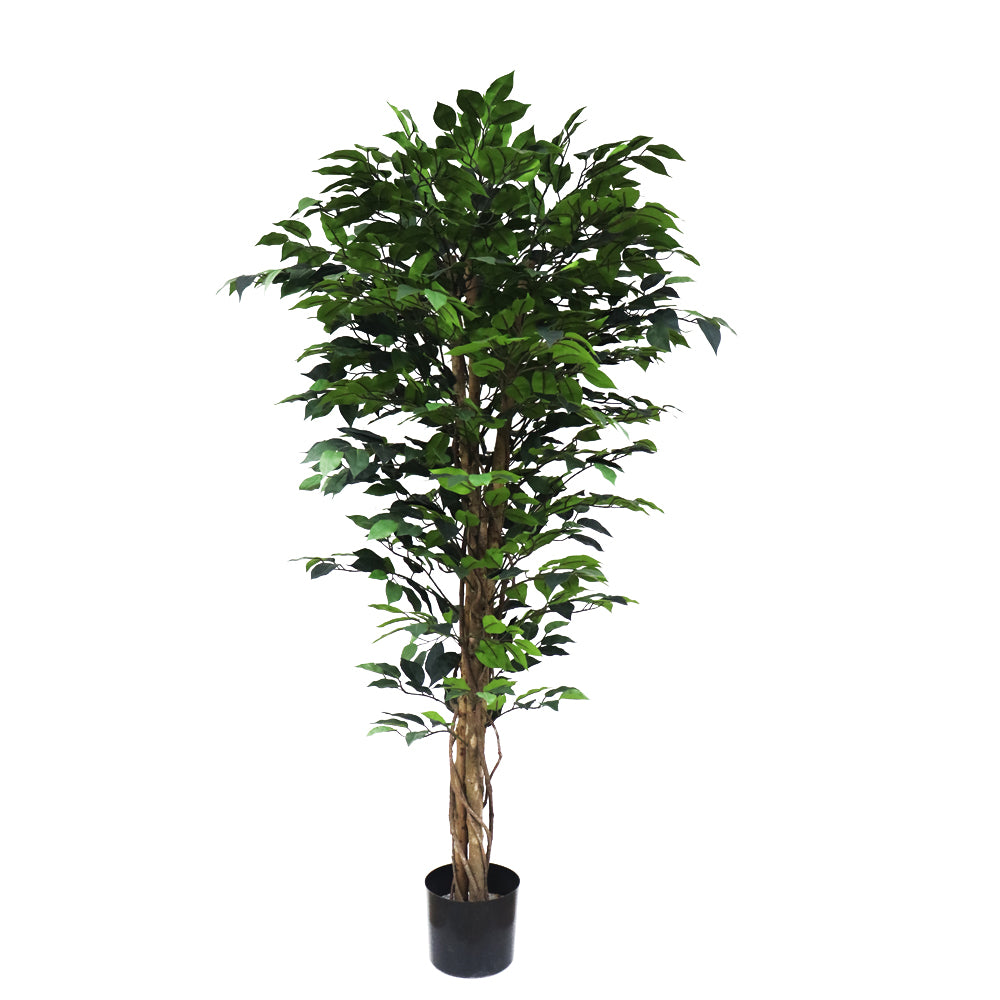 150cm Artificial Ficus Tree