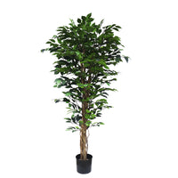 150cm Artificial Ficus Tree