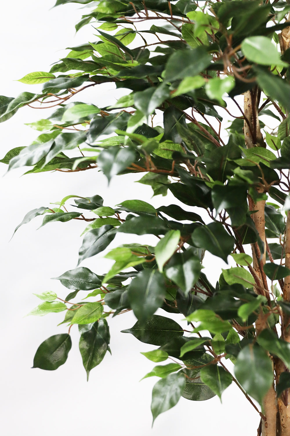 180cm Potted Artificial Ficus Tree