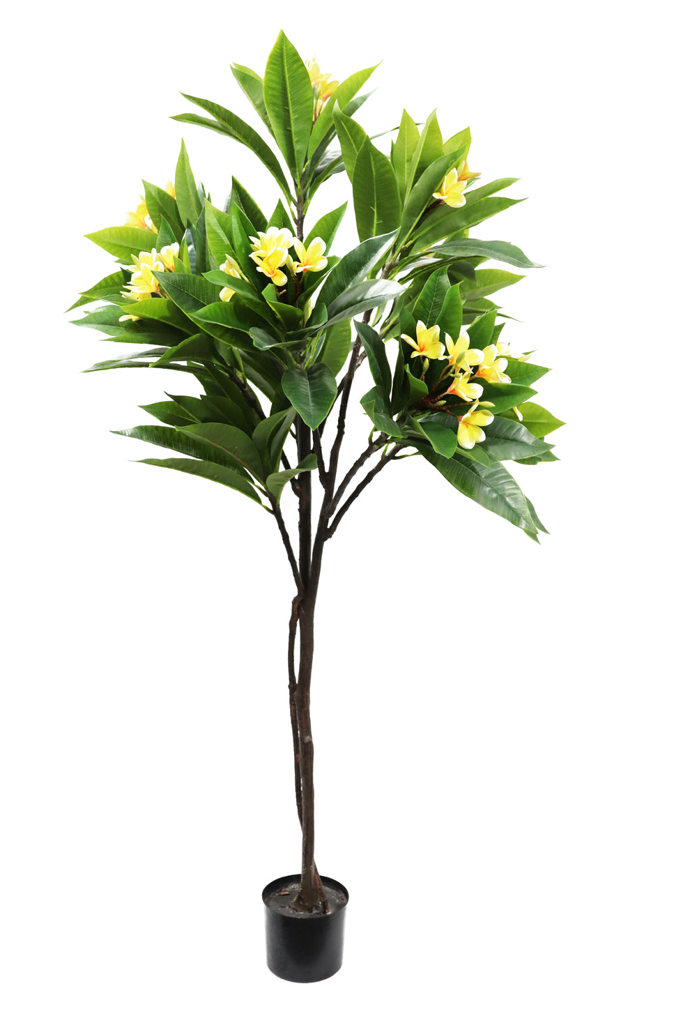 160cm Potted Artificial Frangipani Tree