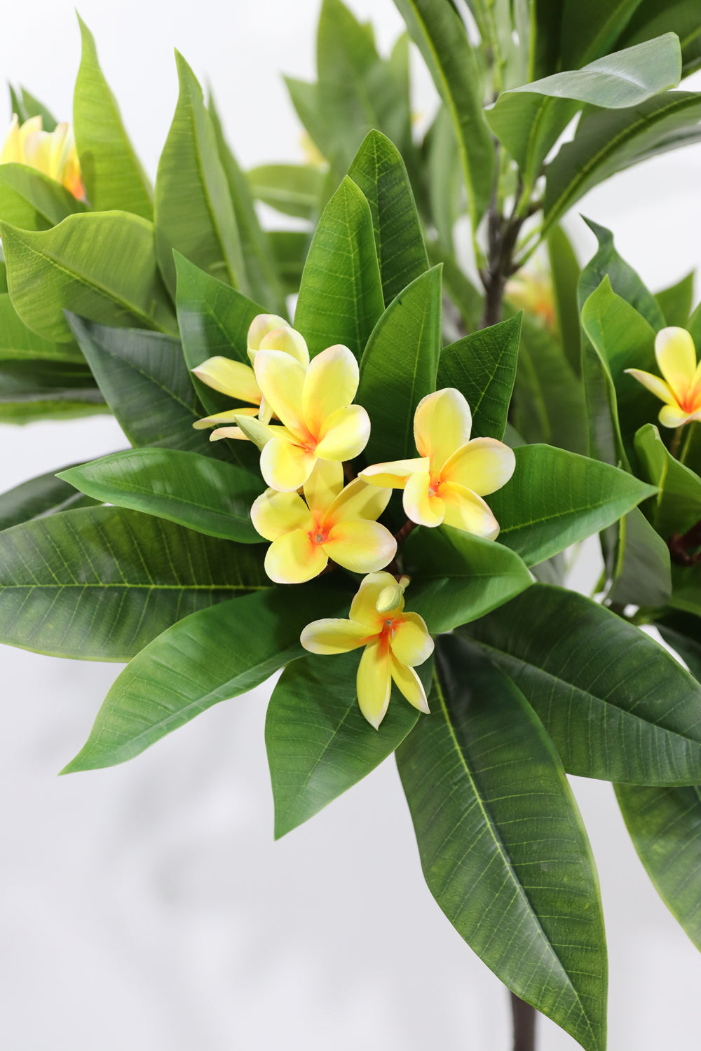160cm Potted Artificial Frangipani Tree