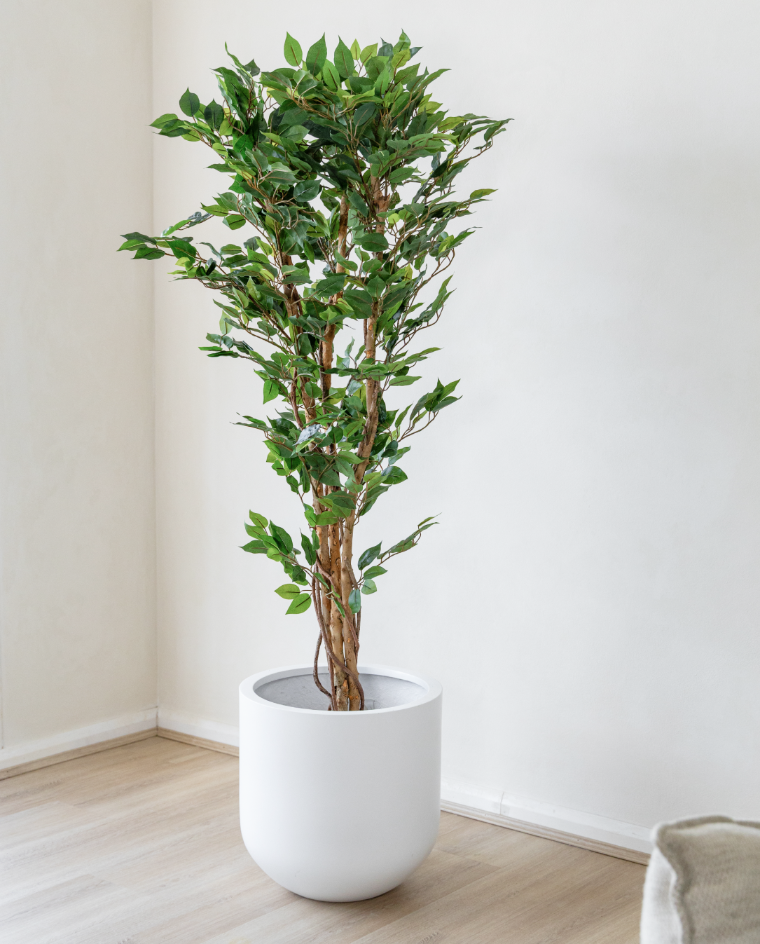 150cm Potted Artificial Ficus Tree