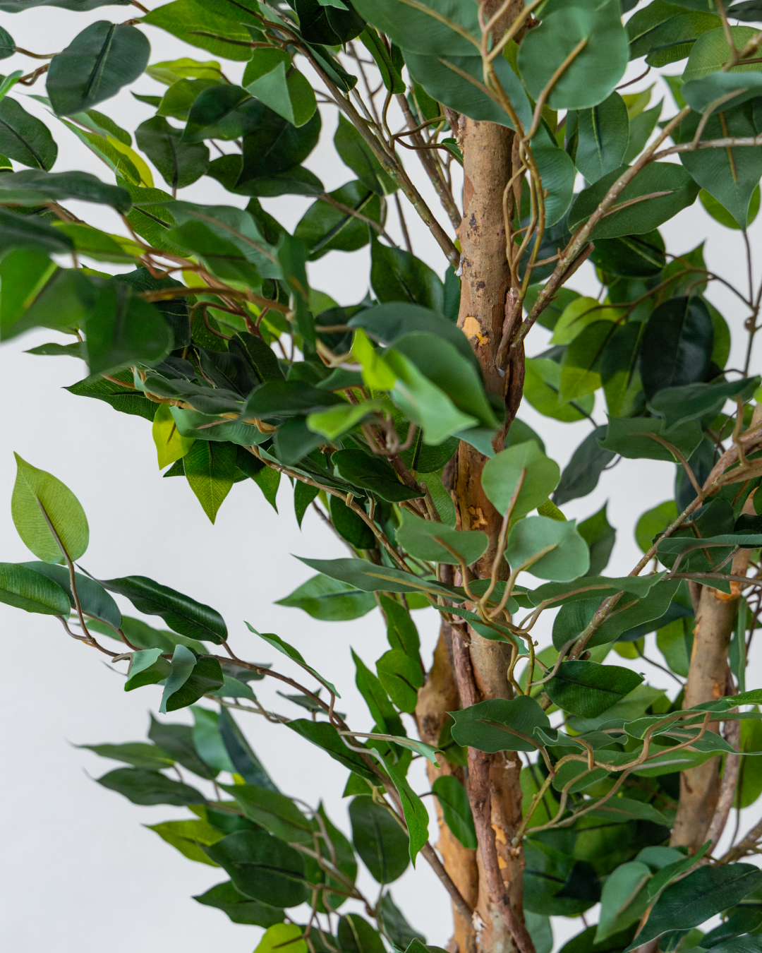 150cm Potted Artificial Ficus Tree