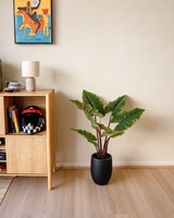 Minimal studio bundle