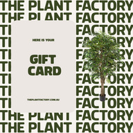 Faux Plant Gift Card