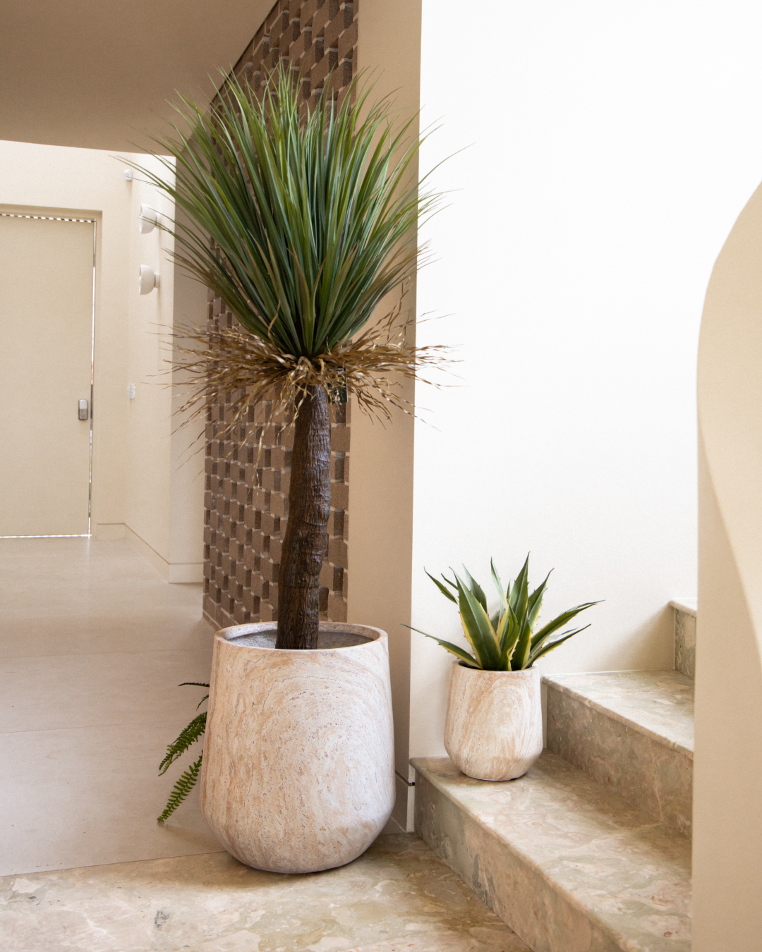 155cm Artificial Yucca