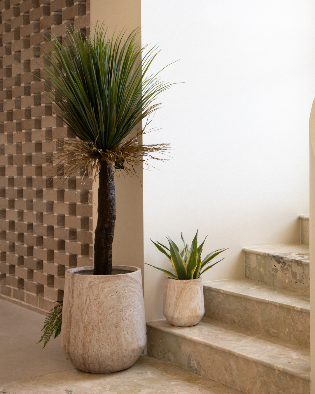 155cm Artificial Yucca