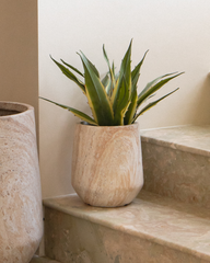 45cm Artificial Agave