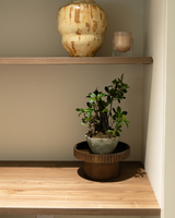 40cm Artificial Decor Plant