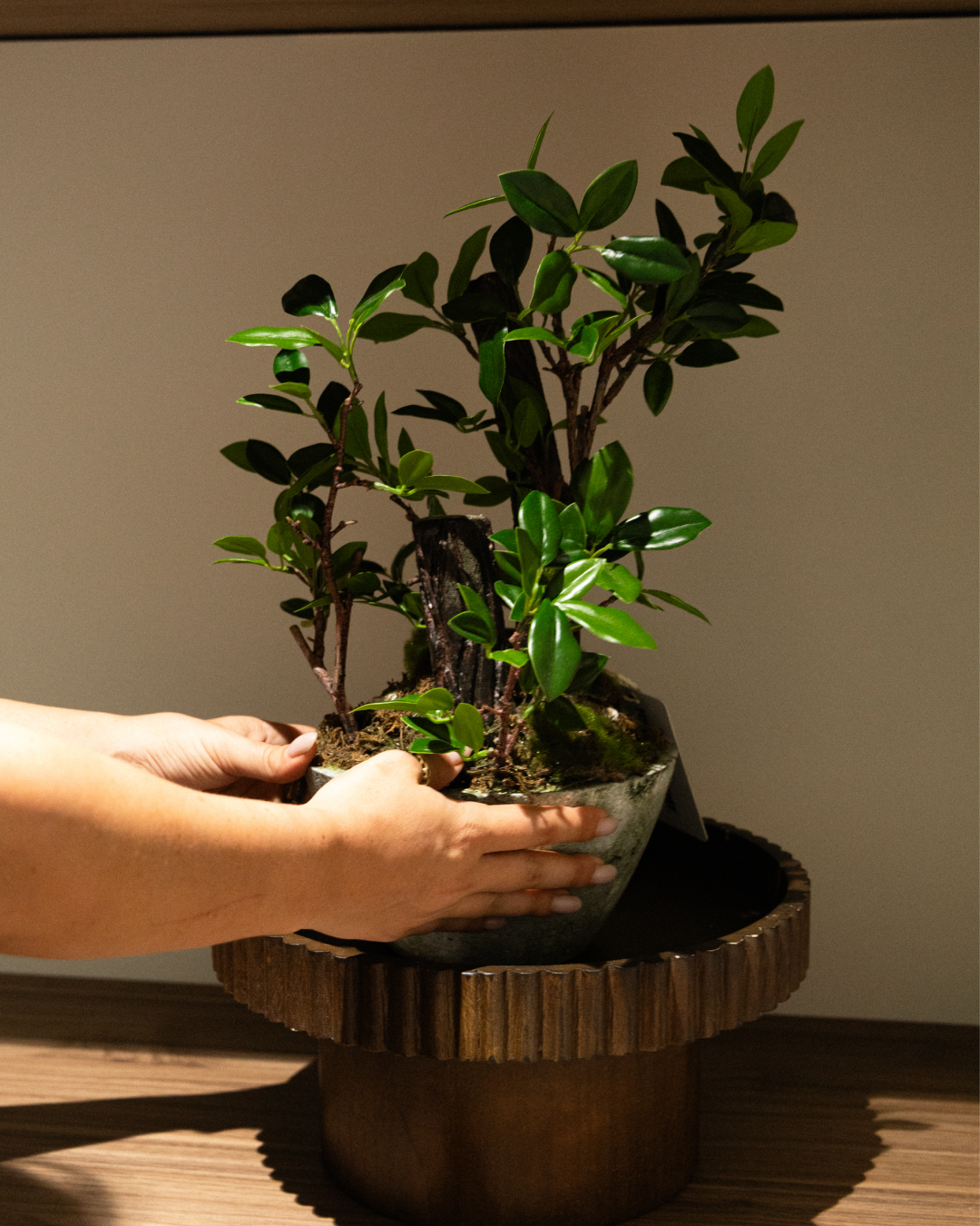 40cm Artificial Decor Plant