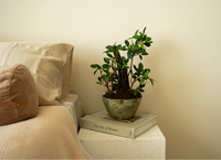 40cm Artificial Decor Plant