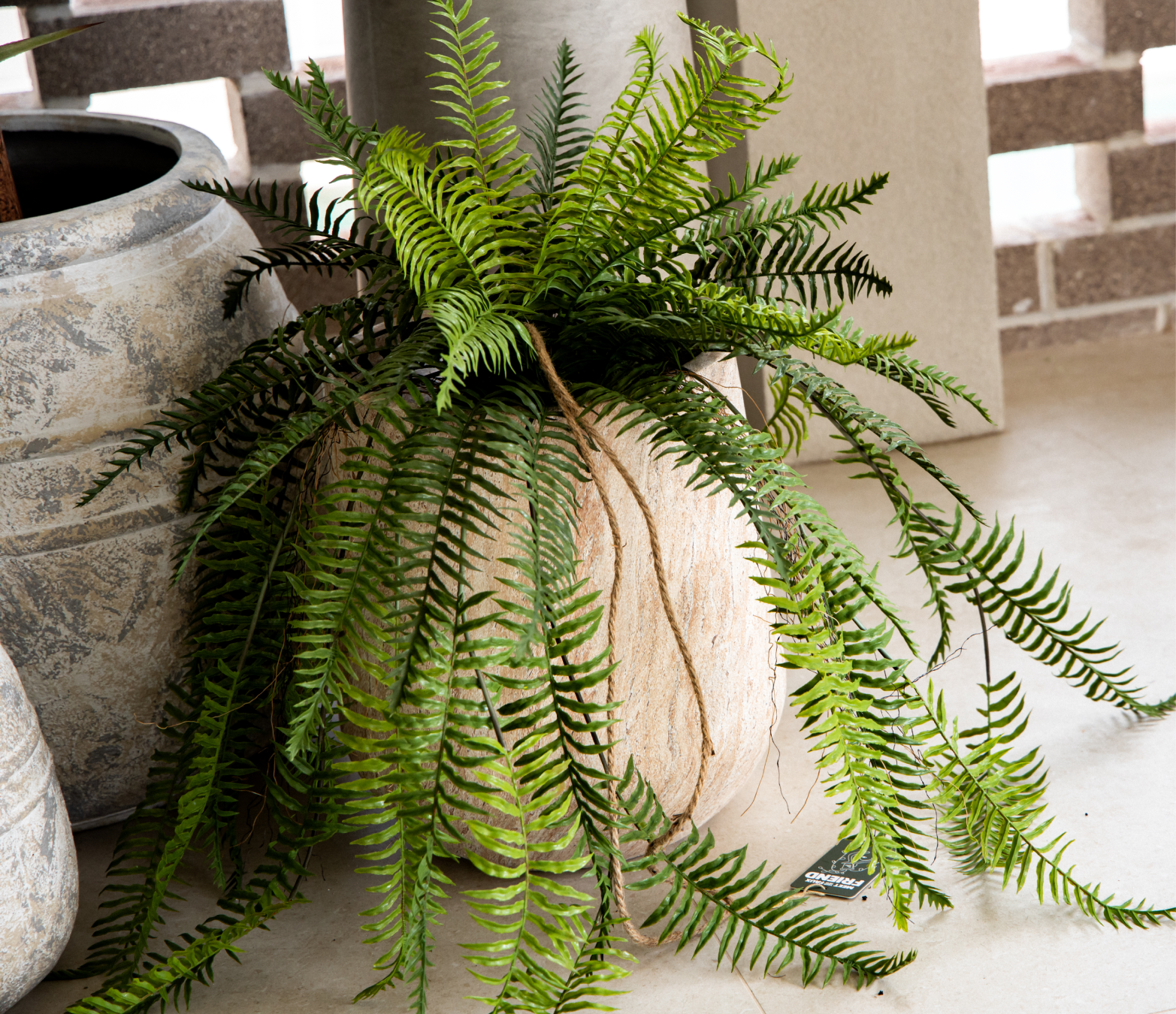 fake fern hanging plants Shop 103cm Artificial Hanging Fern | Faux Trailing Plant