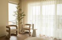 Artificial Black Olive Tree