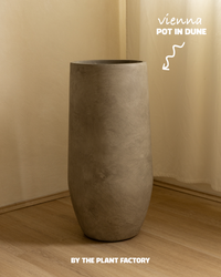 Byron Set