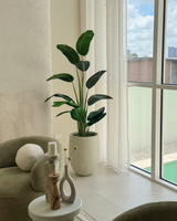 180cm Potted Artificial Strelitzia Nicolai