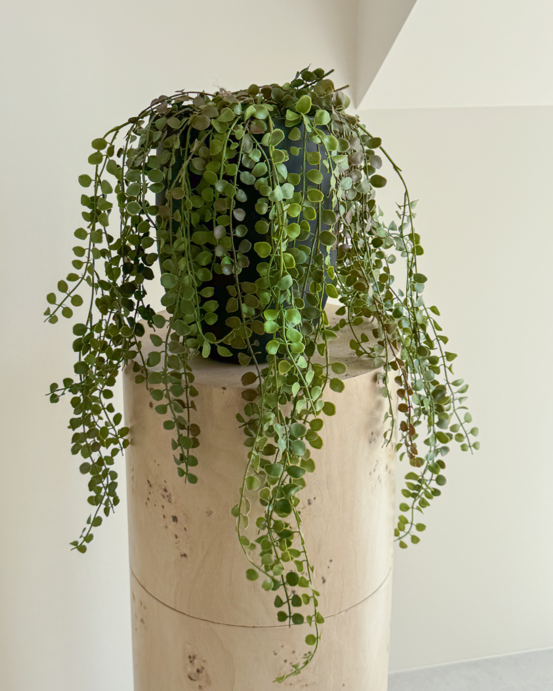 60cm hanging plant