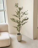 Artificial Black Olive Tree